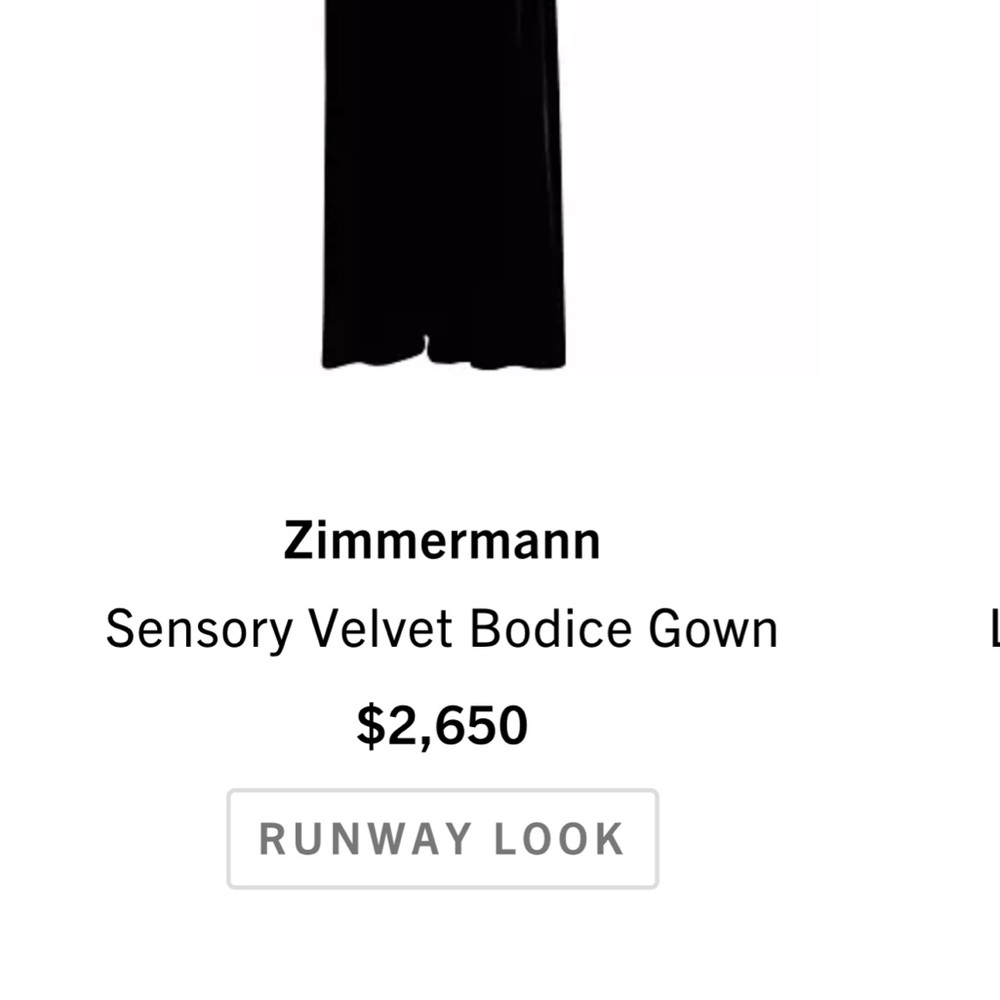 Zimmerman Runway look.  Sensory bodice gown purchased 11-2023 worn once - Picture 4 of 4